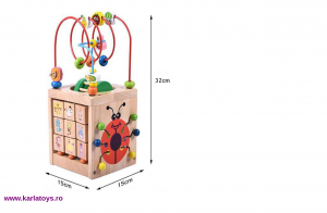 Cub Lemn Montessori educational Buburuza 6 in 1 [2]