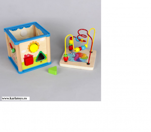 Cub din lemn 5 in 1 Wisdom Box [2]