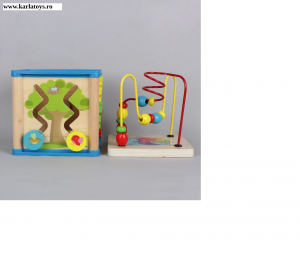 Cub din lemn 5 in 1 Wisdom Box [1]