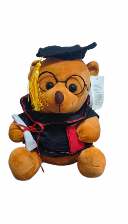 Jucarii din Plus - Mascote din Plus(3 ani +) - Ursulet de Plus la Absolvire 23 cm