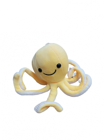 img-attr