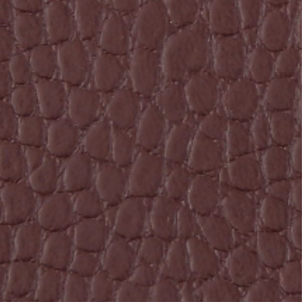 Chocolate - COD 5