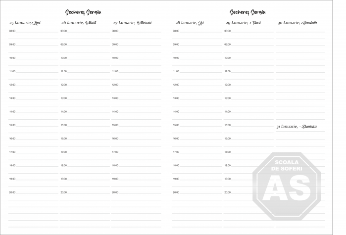 Agenda datata saptamanal personalizata pentru instructor auto cu fise pentru elevi [2]