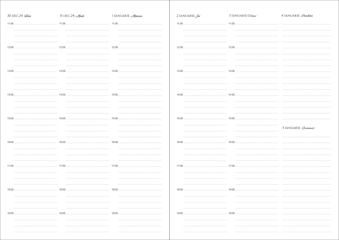 Agenda pentru masaj [3]