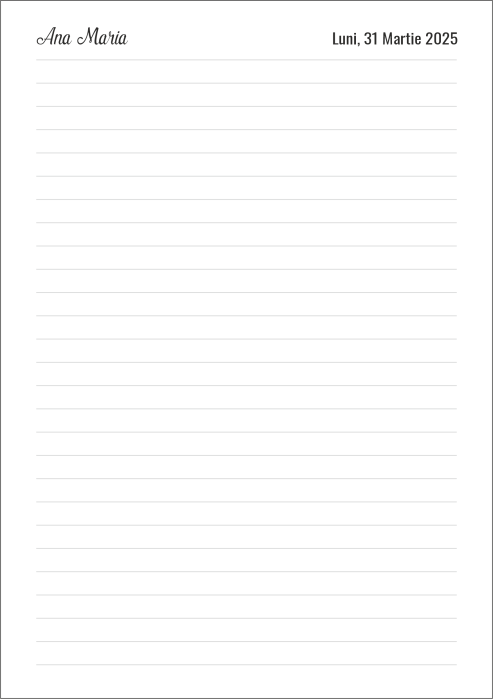 Agenda zilnica personalizata cu linii [3]
