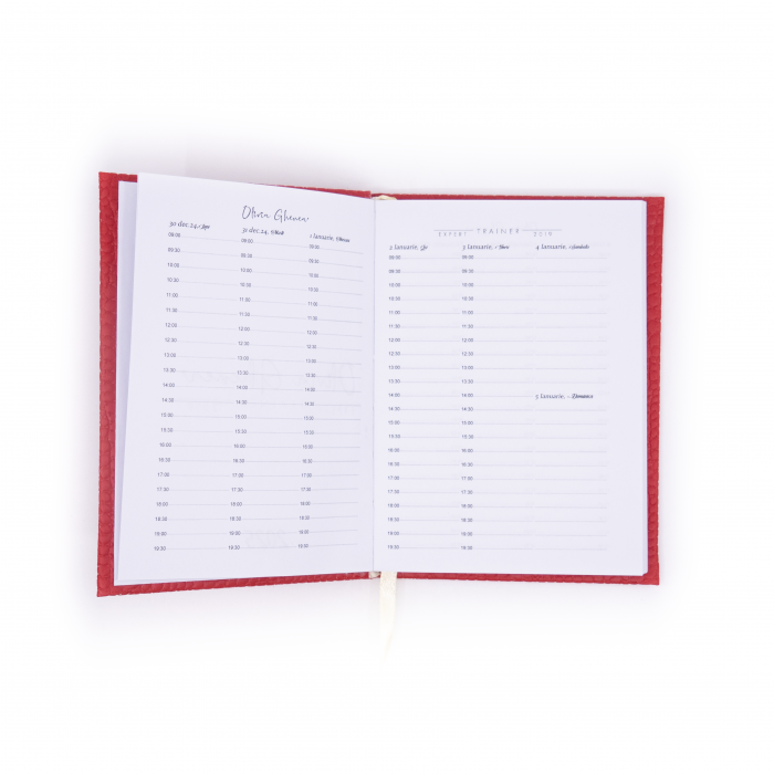 Agenda personalizata saptamanala [4]