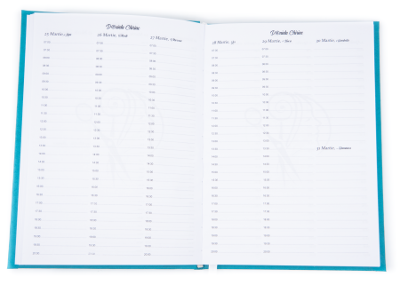 Agenda pentru masaj [5]