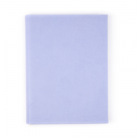 Zilnice - Agenda personalizata zilnica cu patratele