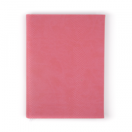 Zilnice - agenda-zilnica-cu-linii