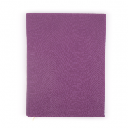 Zilnice - Agenda personalizata zilnica cu patratele