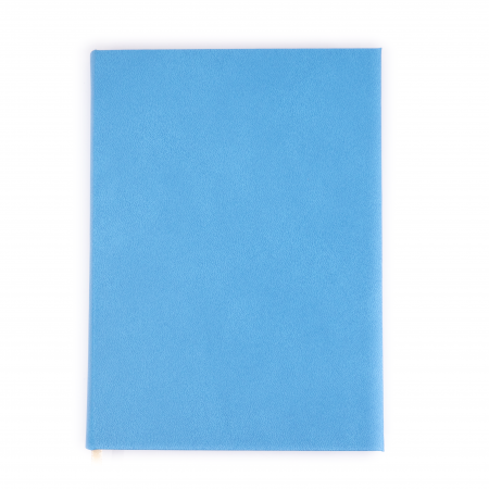 Scoala de soferi | Instructor Auto - Agenda datata saptamanal personalizata pentru instructor auto cu fise pentru elevi