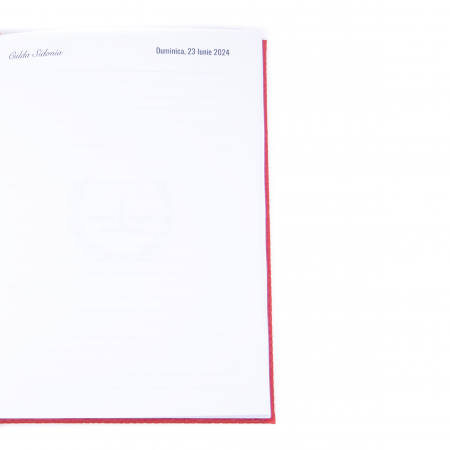 agenda-zilnica-cu-linii [2]