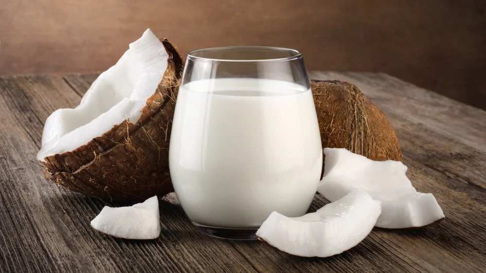 Organic Coconut Milk 250ml [2]
