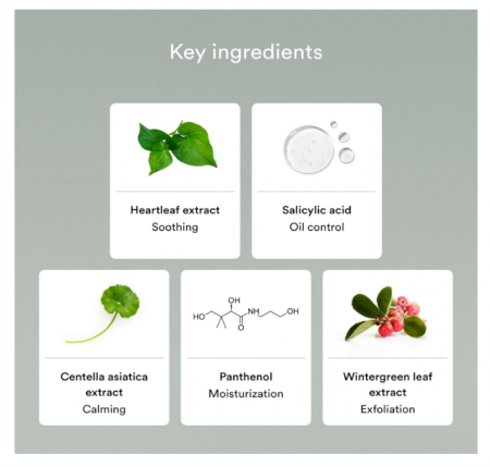 Spuma de curatare cu extract de plante si acid salicilic 150ml Abib [4]