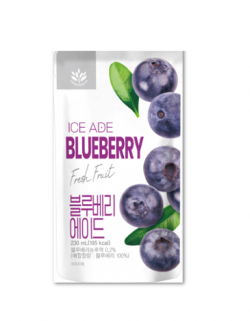 Tea - Blueberry ade 230ml BG