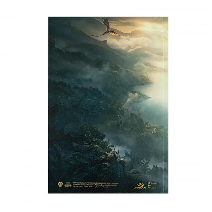 Carnet Hogwarts Legacy - Harry Potter, 21x15 cm - KidMania.ro [2]