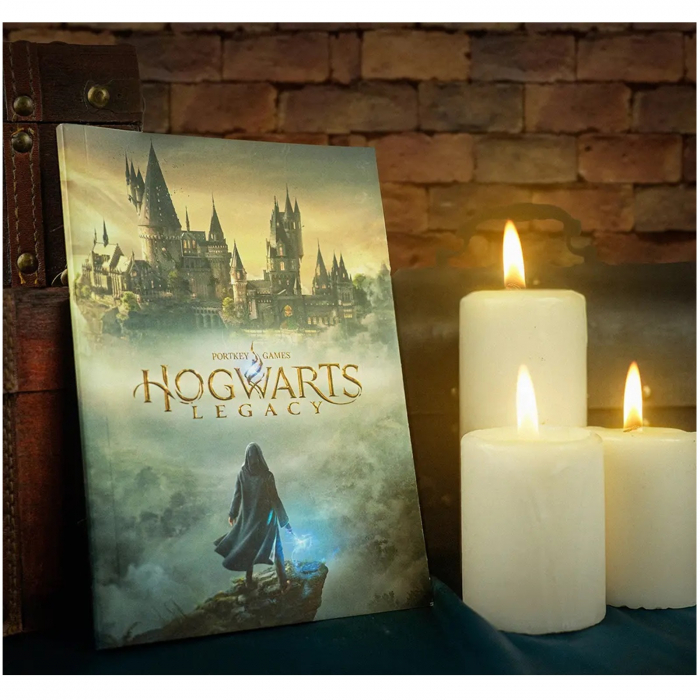 Carnet Hogwarts Legacy - Harry Potter, 21x15 cm - KidMania.ro [4]