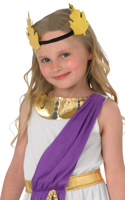 Costum carnaval fata romana [3]