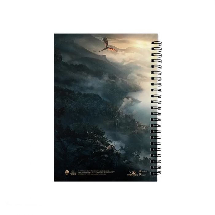 Set carnet si fular Hogwarts Legacy - Harry Potter - KidMania.ro [3]