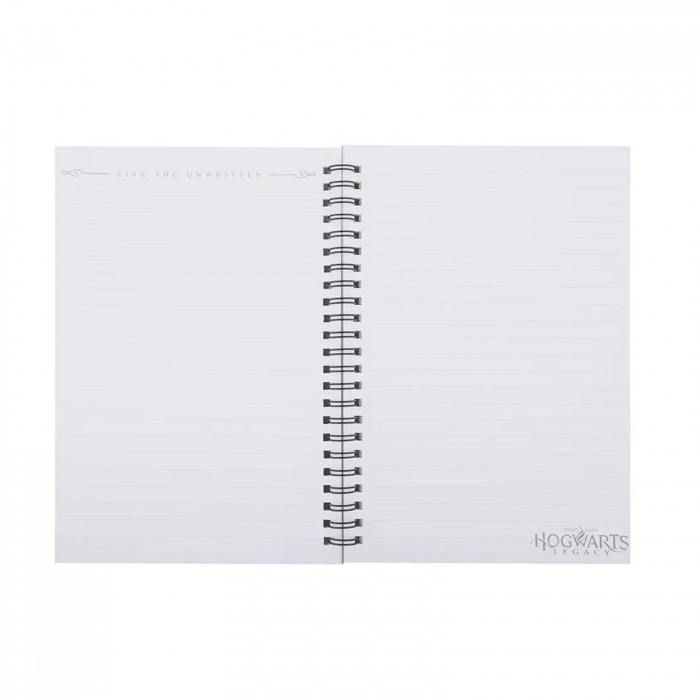 Set carnet si fular Hogwarts Legacy - Harry Potter - KidMania.ro [4]