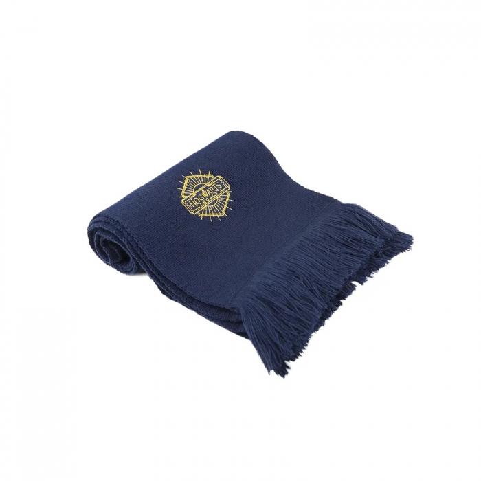 Set carnet si fular Hogwarts Legacy - Harry Potter - KidMania.ro [6]