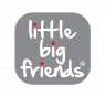 Little Big Friends