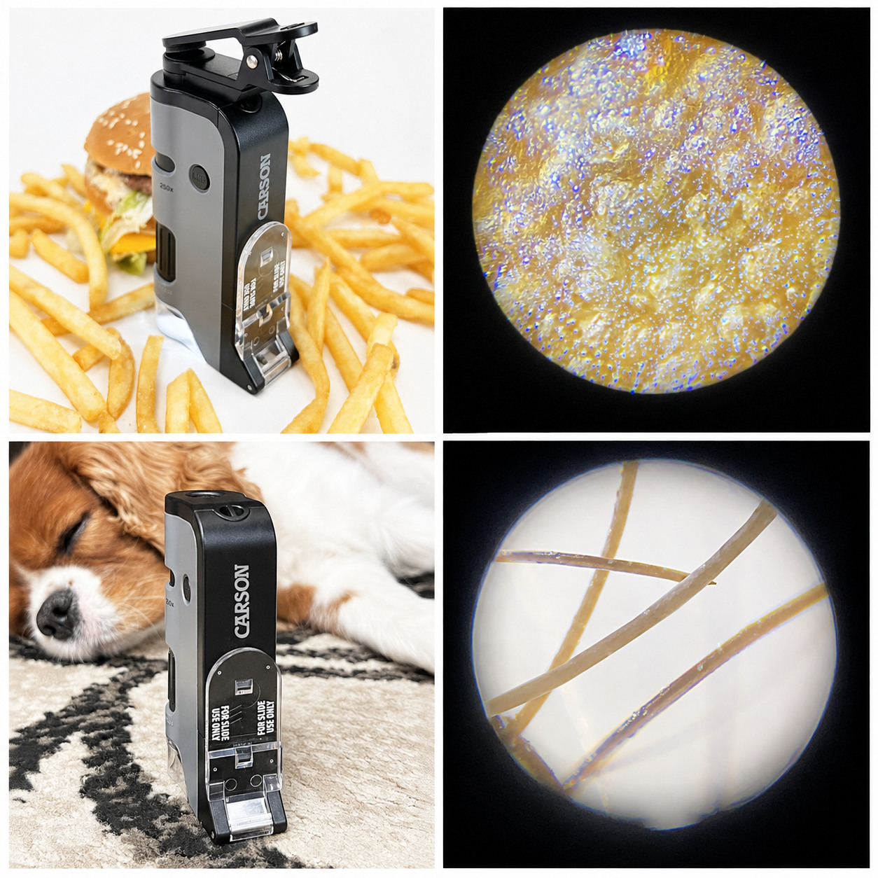 Microscop portabil MicroFlip Carson și exemple de observații la microscop în experimente STEM pentru copii