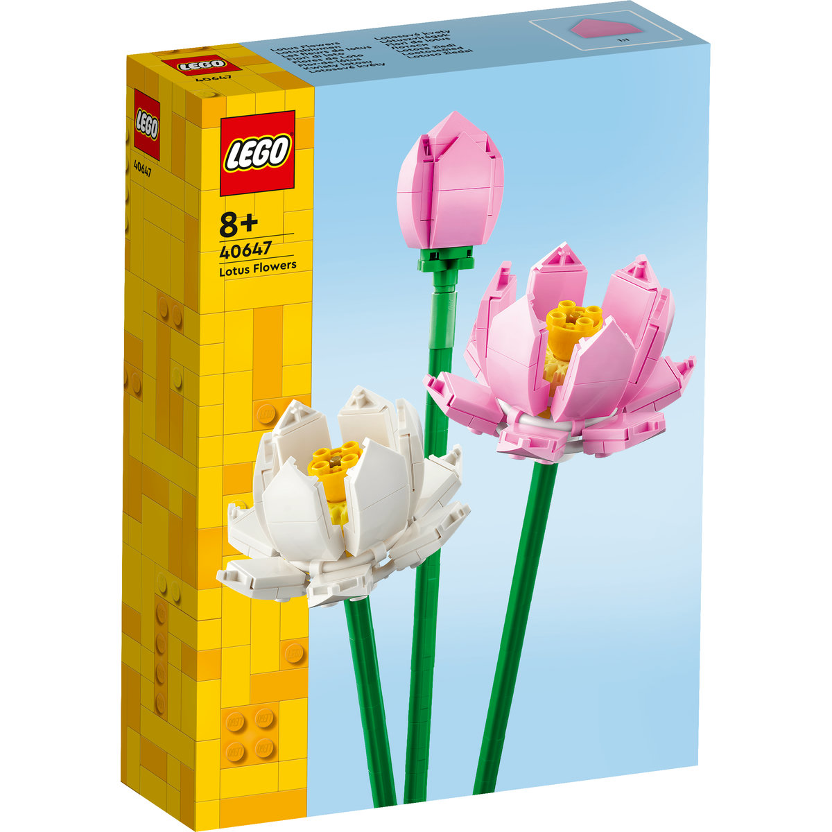  Lotus [2]
