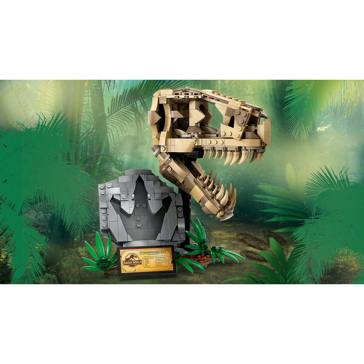  Fosile de dinozaur: craniu de T.rex [10]