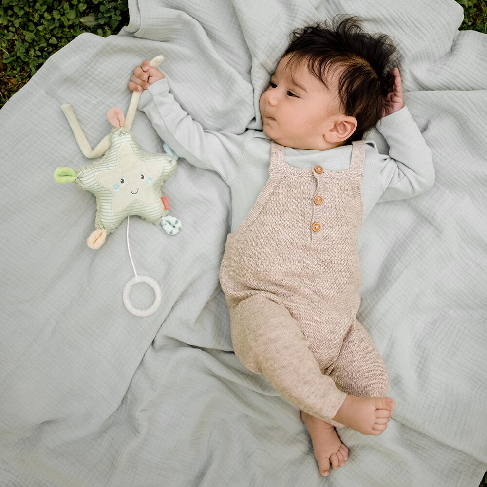 Jucarie muzicala - Steluta de mare [2]