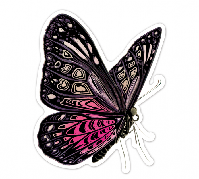 Abtibilduri razuibile - Fluturi, colectia Creatii Naturale [5]