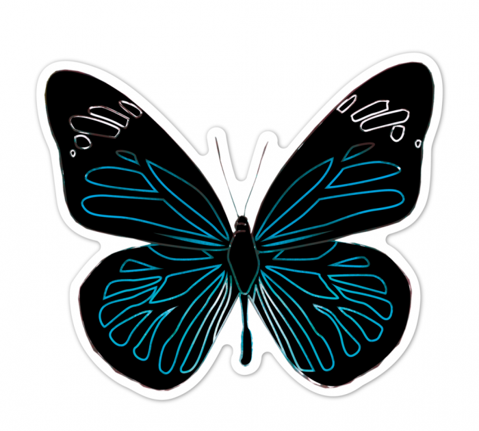 Abtibilduri razuibile - Fluturi, colectia Creatii Naturale [10]