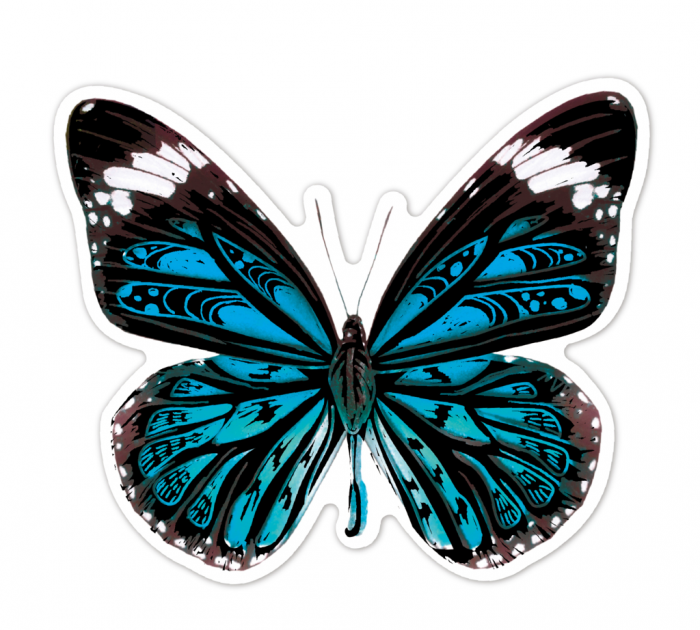 Abtibilduri razuibile - Fluturi, colectia Creatii Naturale [6]