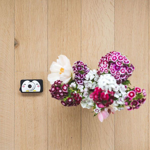 Aparat foto video digital pentru copii  - Penguin [10]