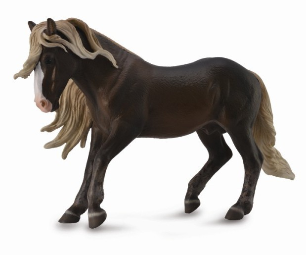 Armasar Black Forest [4]