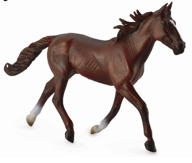 Armasar Standardbred Pacer Castaniu [4]