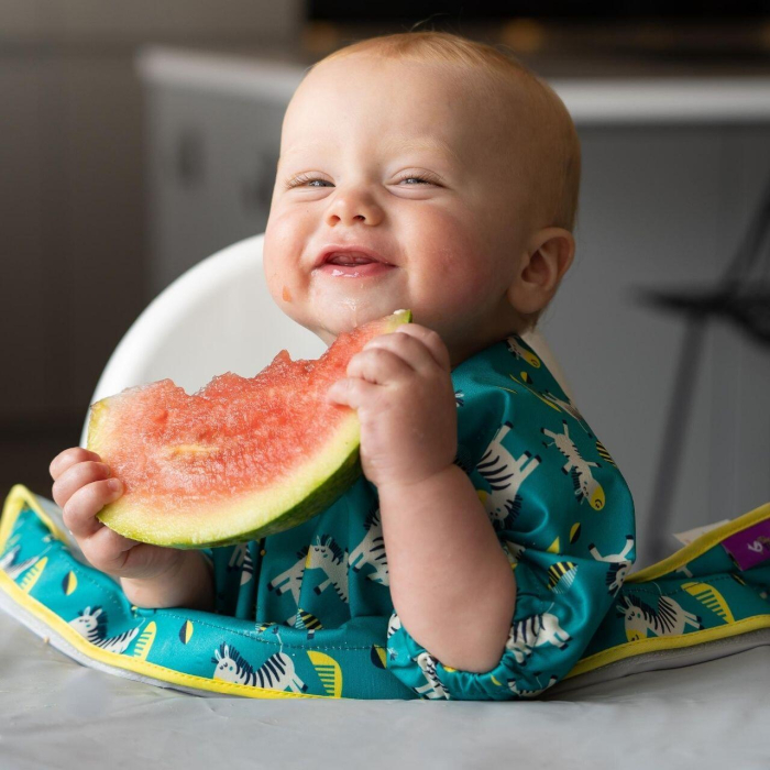 Baveta cu maneci scurte  - Zebre vesele [4]