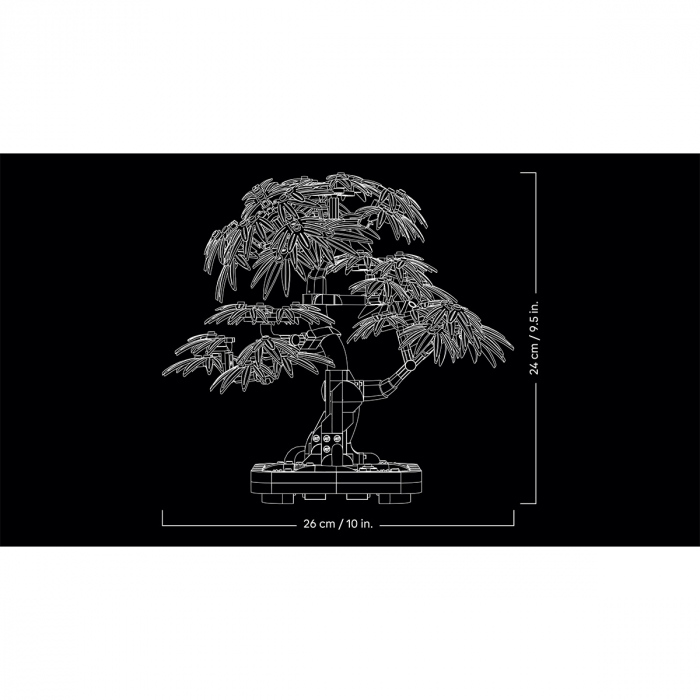  Bonsai de artar japonez rosu [9]