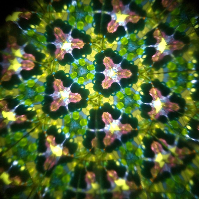 Caleidoscop rotativ Pasari din padure, Svoora [3]