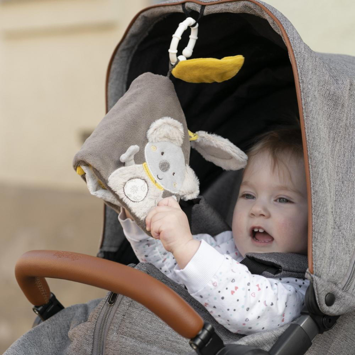 Carticica pentru bebelusi - Koala [5]