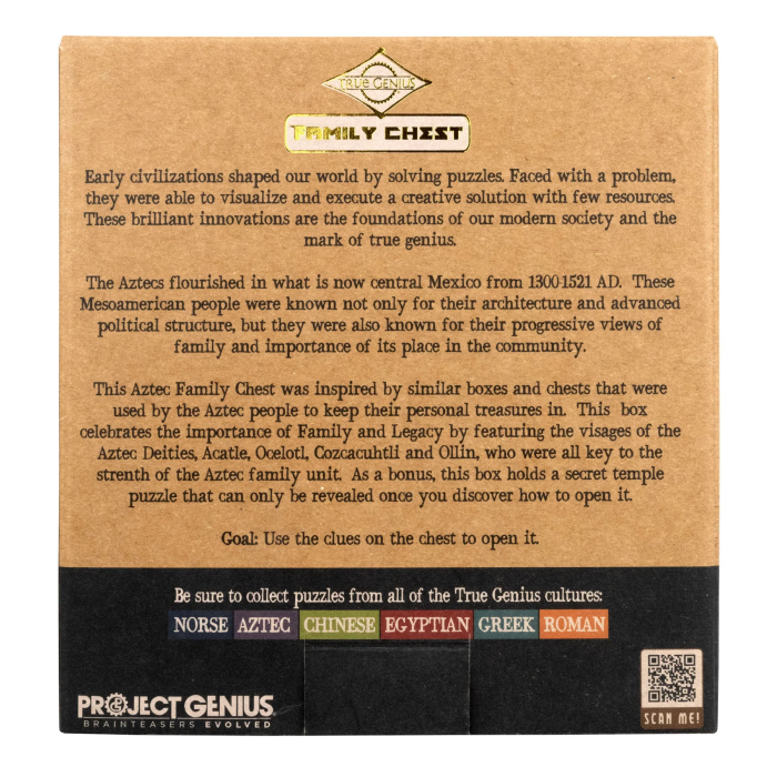 Cutie puzzle IQ din lemn cu compartiment secret - Aztec Family Chest [3]