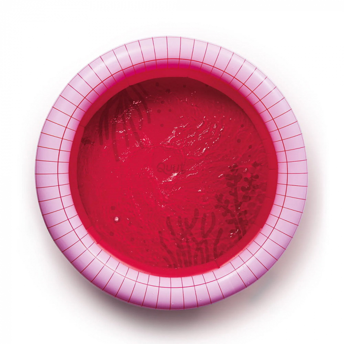 Dippy, piscina gonflabila, 120 cm, rosu, Quut Toys [5]