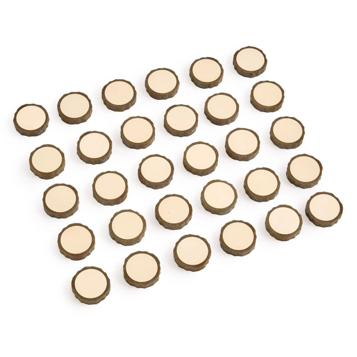 Discuri magnetice cu suprafata pentru scris, Guidecraft [2]