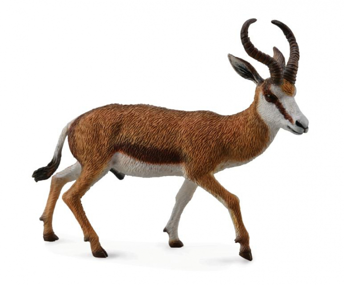 Figurina Antilopa Springbok L Collecta [4]