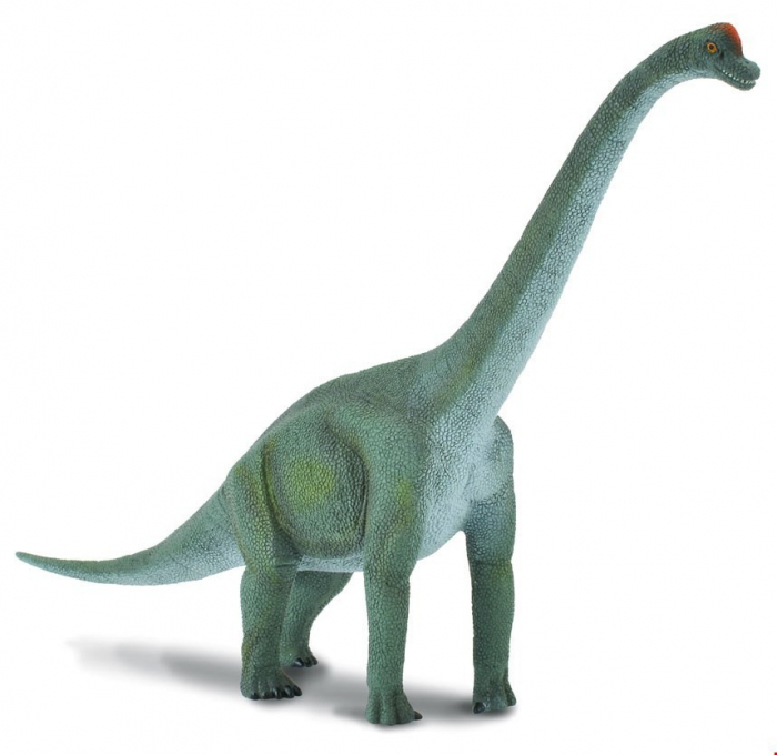 Figurina Brachiosaurus Collecta [2]