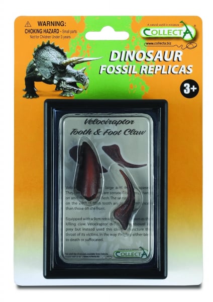 Figurina Dinte si Gheara de Velociraptor Box Set Collecta [1]