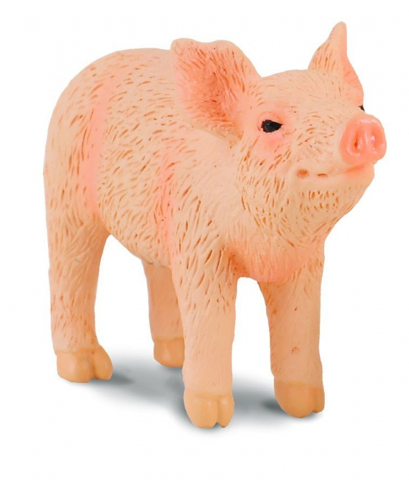 Figurina Purcel adulmecand [3]