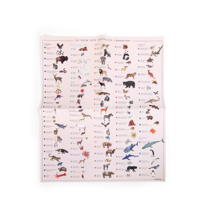 Joc de transfer Harta lumii, Moulin Roty [4]