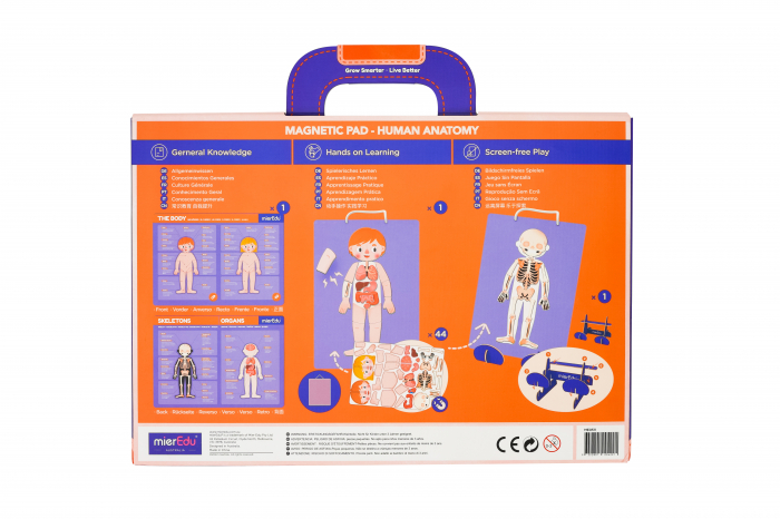 Joc magnetic educativ - Anatomia Umana [11]