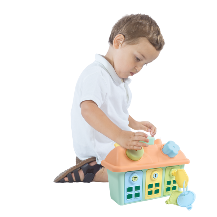 Joc sortare - Casuta pastel cu chei [2]